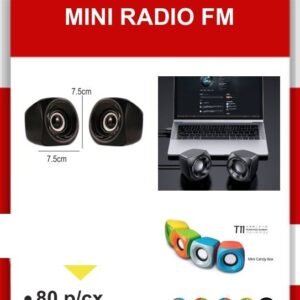 T-11 Mini Radio Fm
