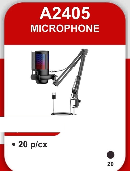 A2405 Microphone